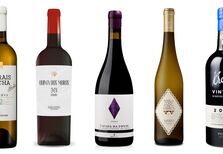 A seguir às vindimas, os vinhos que vai querer provar