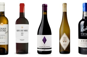 A seguir às vindimas, os vinhos que vai quer provar