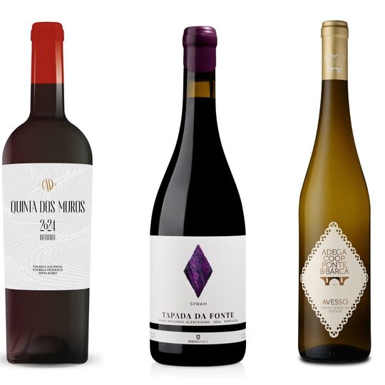 A seguir às vindimas, os vinhos que vai querer provar