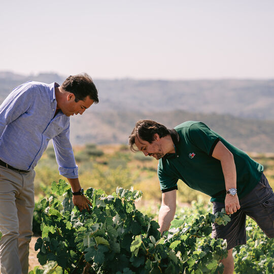 Costa Boal em homenagem ao tempo e à arte de fazer grandes vinhos 
