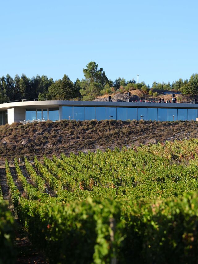 Restaurante Mesa de Lemos