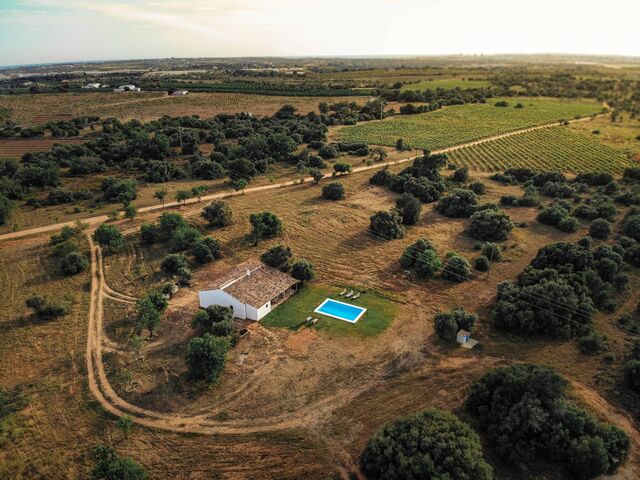 Parte da propriedade Morgado do Quintão, Algarve