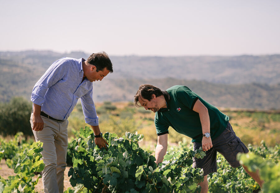Costa Boal em homenagem ao tempo e à arte de fazer grandes vinhos 