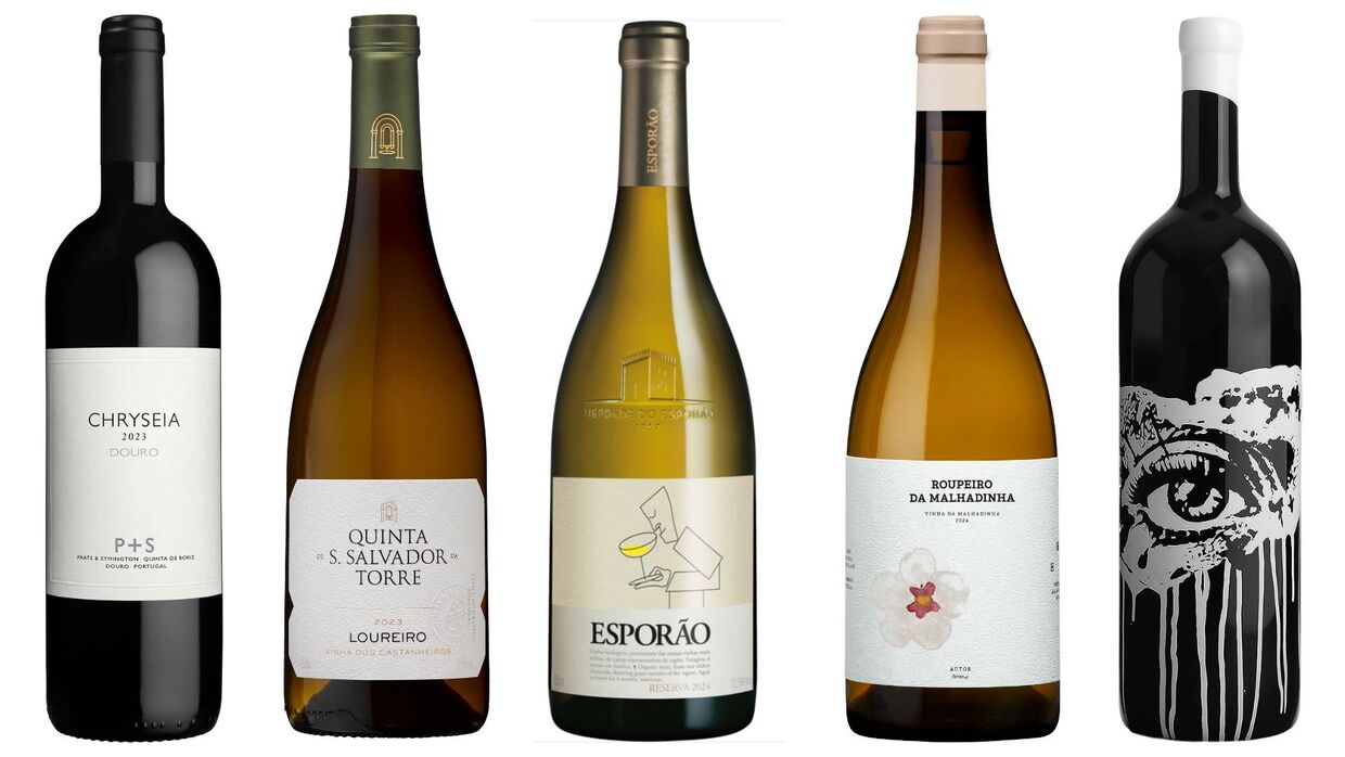 Sugestões de vinhos para novembro
