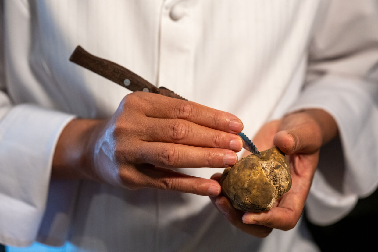 Chef Tanka Sapkota inaugura um menu especial, com trufas brancas de Alba