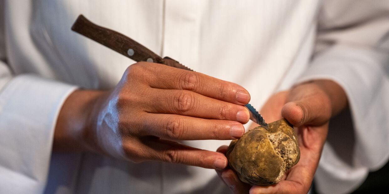 Trufas e meditação no Come Prima