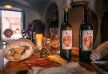 São Martinho: fomos às adegas e provámos o vinho de talha