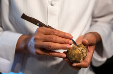 Trufas e meditação no Come Prima