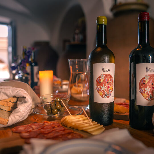 São Martinho: fomos às adegas e provámos o vinho de talha