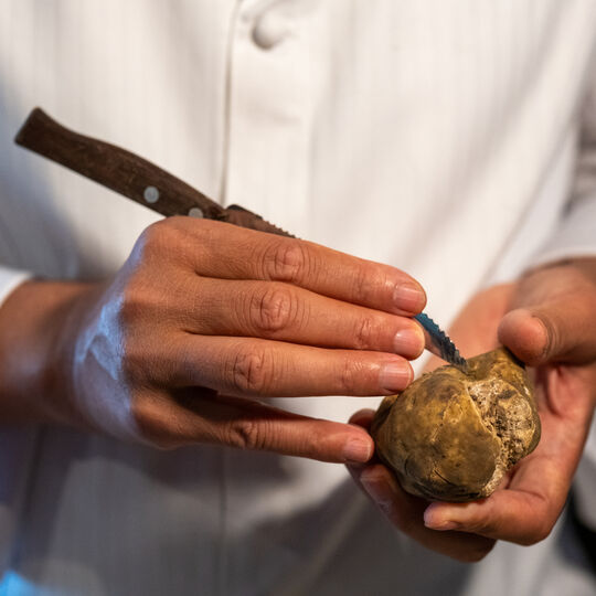 Trufas e meditação no Come Prima