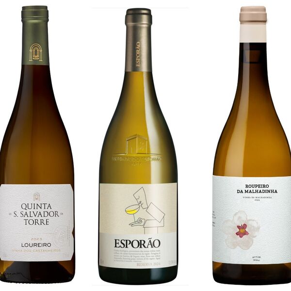 Vinhos de topo que vai querer saborear este fim de semana