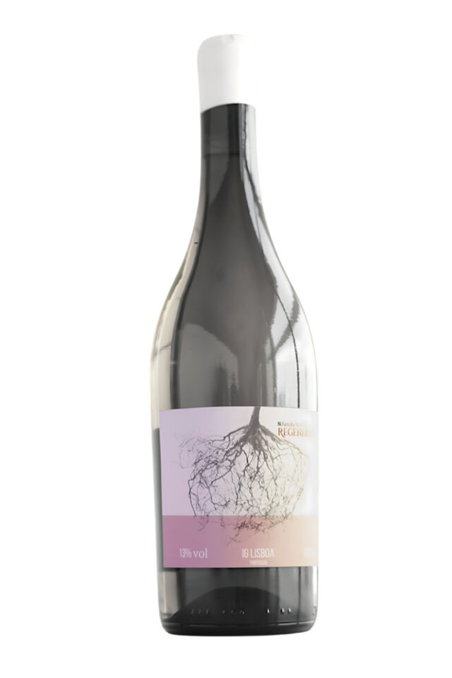 Vinho tinto regenerativo da Família Nicolau, produzido em Lisboa