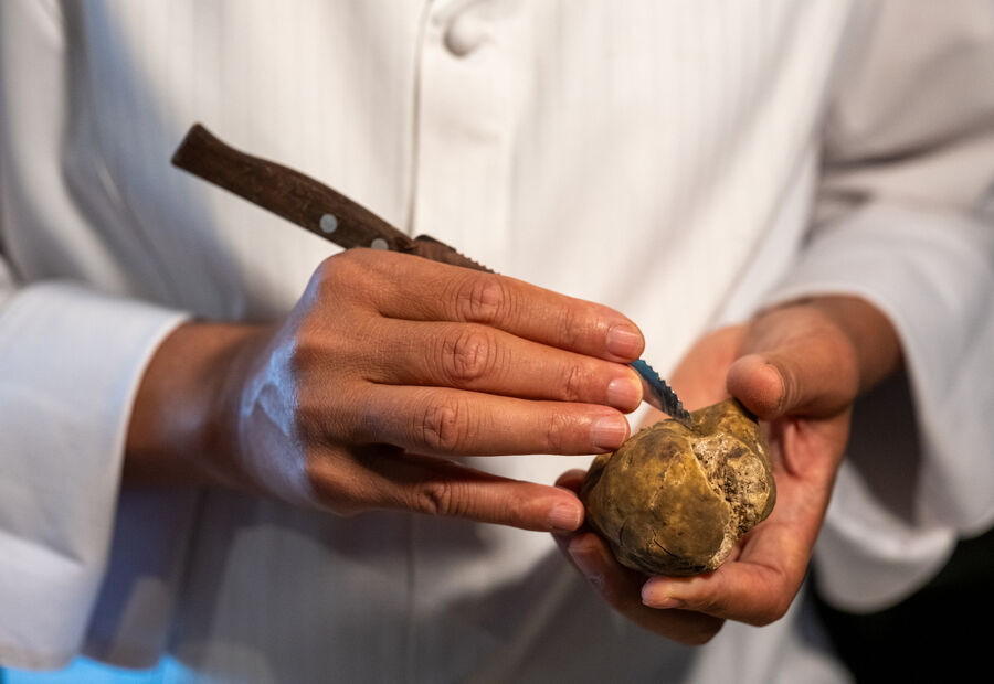 Trufas e meditação no Come Prima