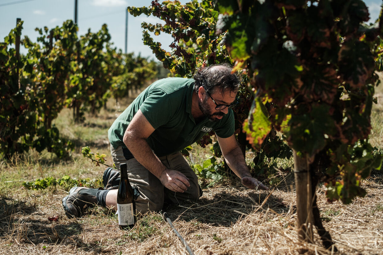 Hamilton Reis cria o Natus, vinho artesanal presente em restaurantes Michelin em Portugal