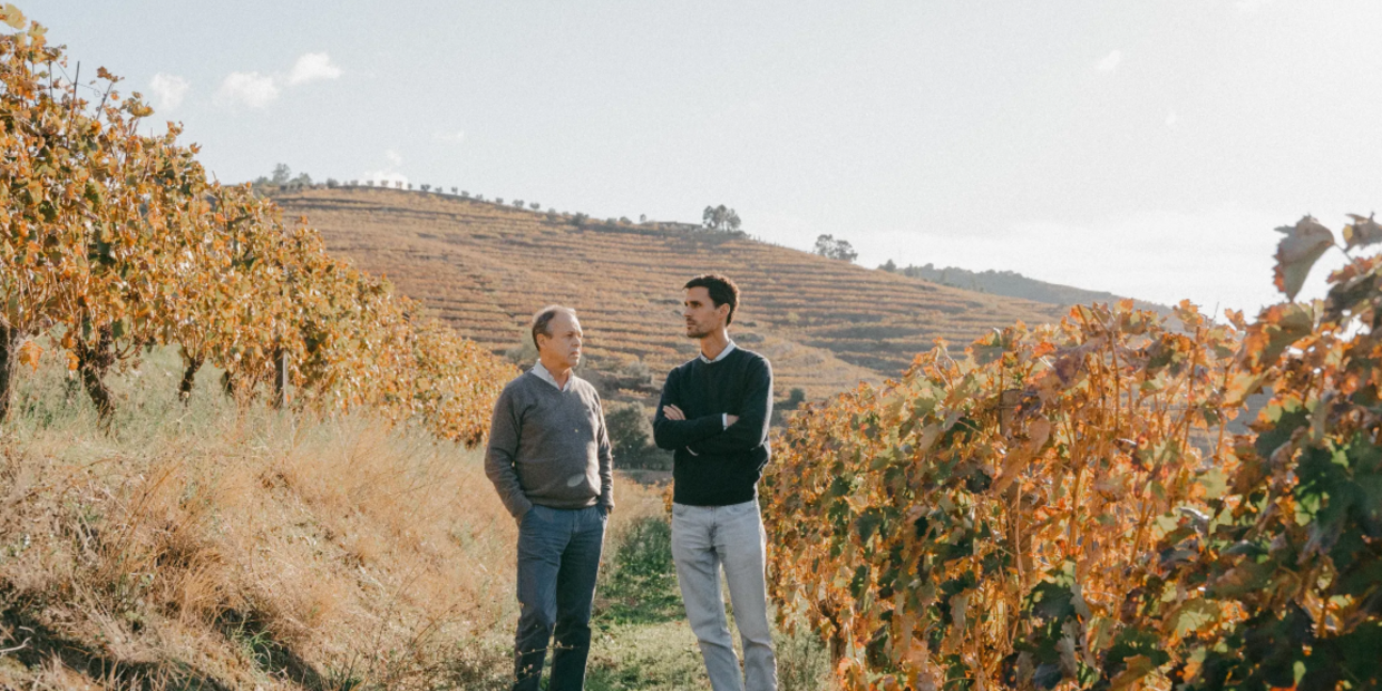 Barca Velha. O mestre, o sucessor e a próxima era na Casa Ferreirinha 