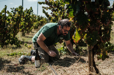 O homem faz o vinho: a história de Hamilton Reis e do Natus