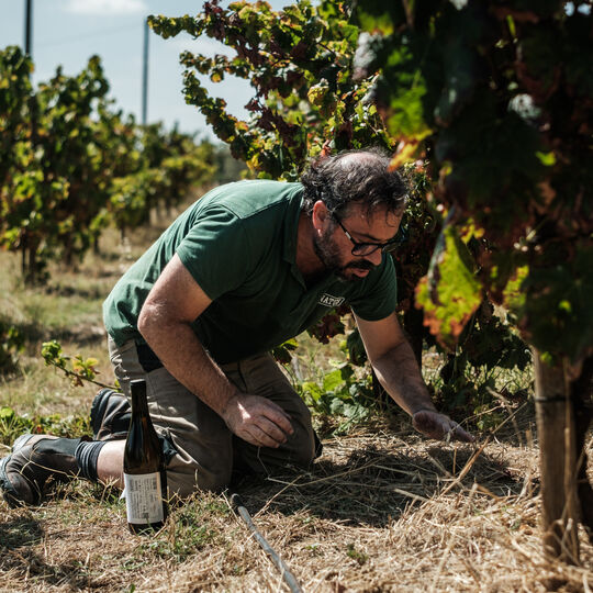 O homem faz o vinho: a história de Hamilton Reis e do Natus