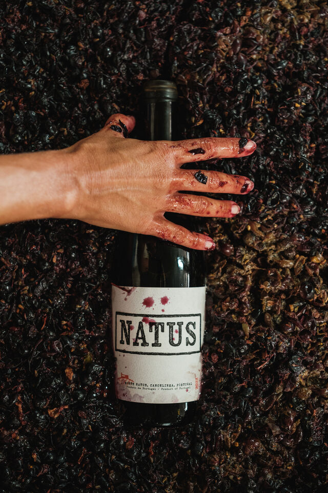 Vinho Natus, de Monte Natus, Cancelinha, Portugal, com produção artesanal