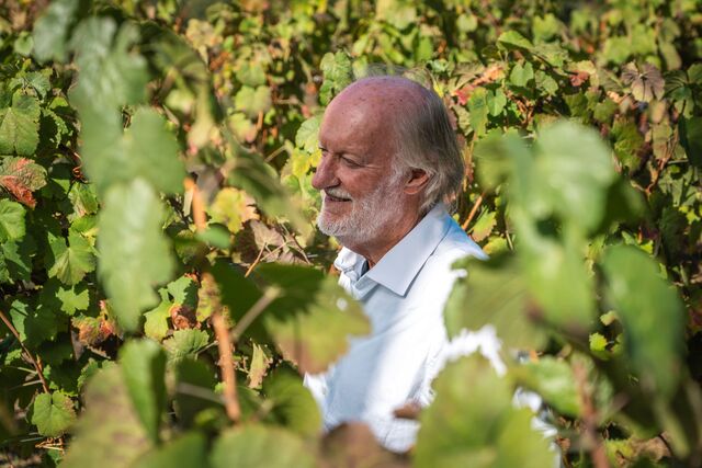 David Baverstock, diretor de enologia da Winestone, com mais de 40 anos de carreira