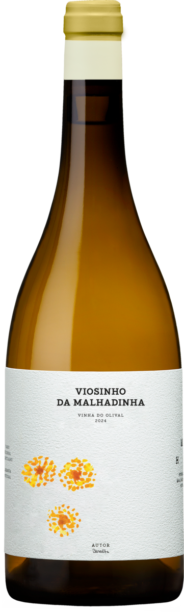 Malhadinha Nova Viosinho 2024 