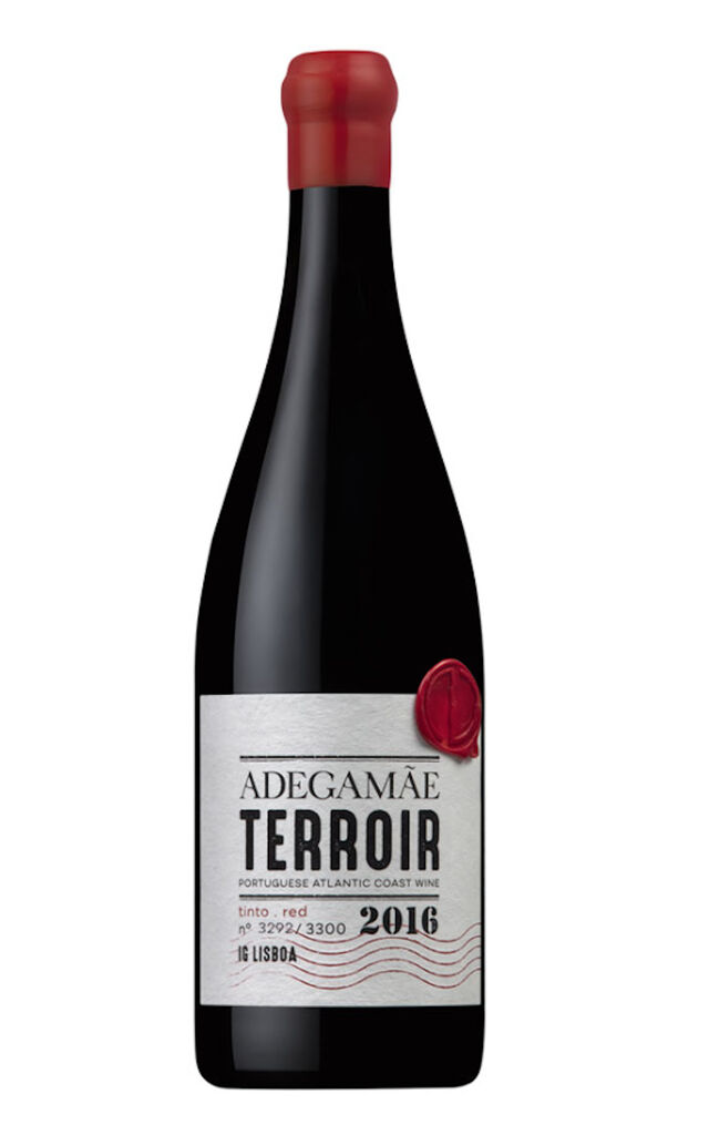 Adega Mãe Terroir Tinto 2016 