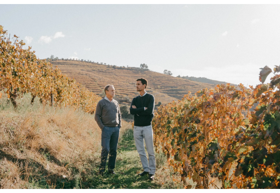 Barca Velha. O mestre, o sucessor e a próxima era na Casa Ferreirinha 