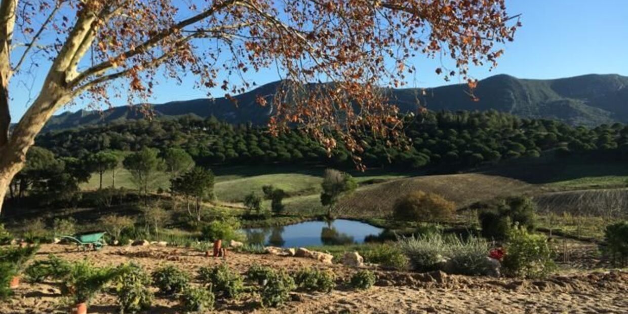 Quinta do Paraíso e os vinhos que nascem no Éden da Arrábida 