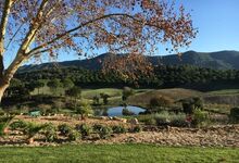 Quinta do Paraíso e os vinhos que nascem no Éden da Arrábida 