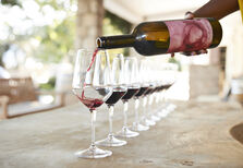 O novo ano nasce entre vinhas 