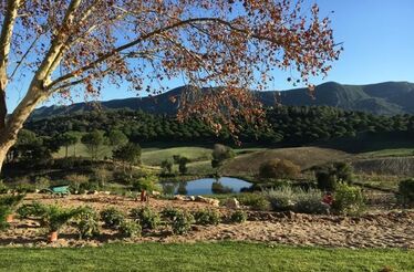 Quinta do Paraíso e os vinhos que nascem no Éden da Arrábida 