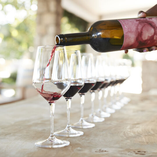 O novo ano nasce entre vinhas 