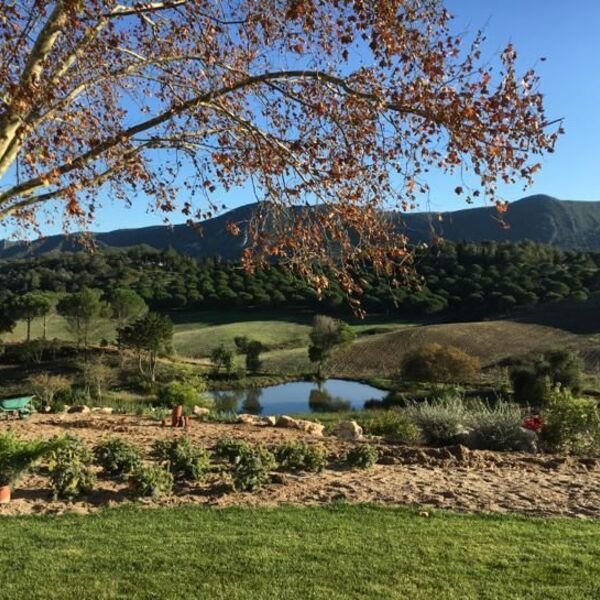 Quinta do Paraíso e os vinhos que nascem no Éden da Arrábida 