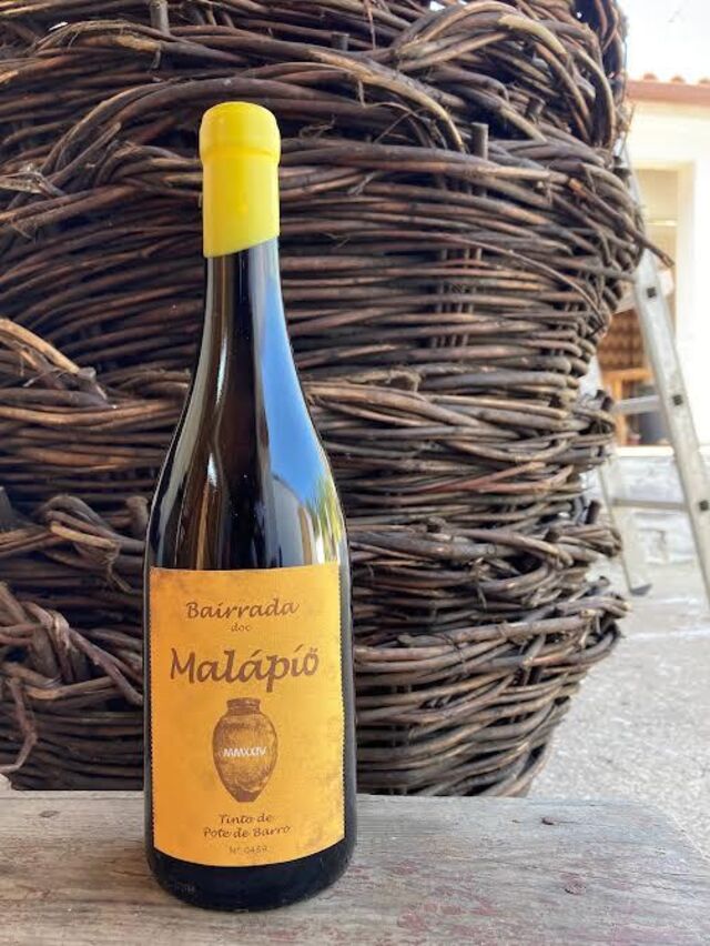 Malápio, vinho tinto de pote de barro da Bairrada