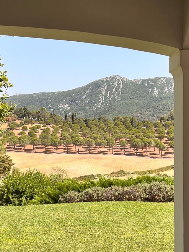 Quinta do Paraíso na Arrábida: cenário idílico para vinhos de pureza e carácter