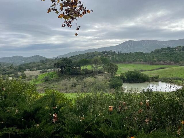 Quinta do Paraíso, Éden da Arrábida, produz vinhos de pureza e caráter num cenário idílico.
