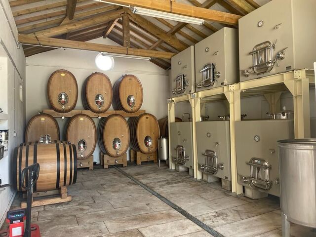 Adega da Quinta do Paraíso, na Arrábida, produz vinhos de carácter vincado