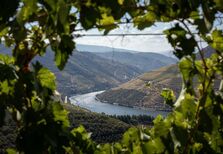 Uma "réstia de sol” ou um brinde a quem ainda acredita no tempo