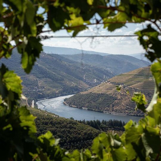 Uma "réstia de sol” ou um brinde a quem ainda acredita no tempo