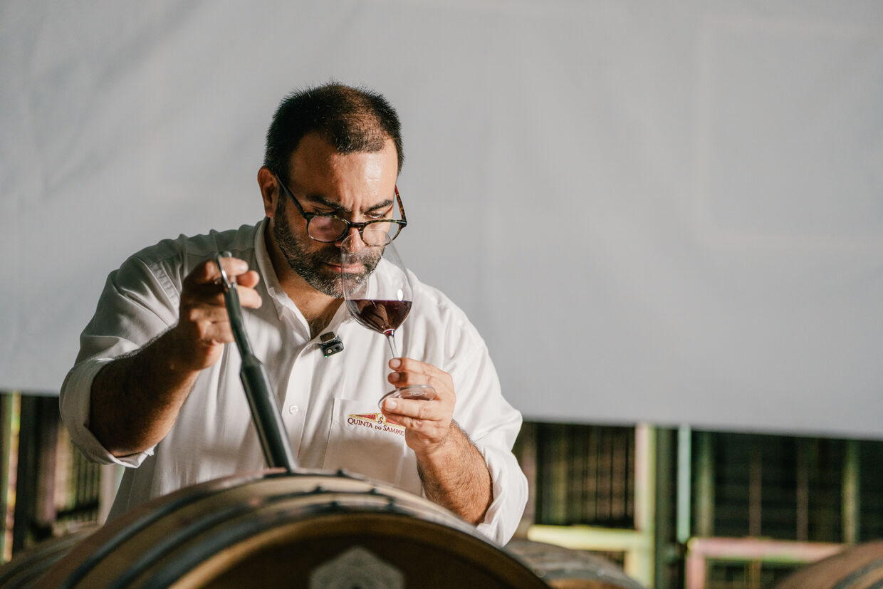Marco Crespo - Enológo Quinta do Sampayo 