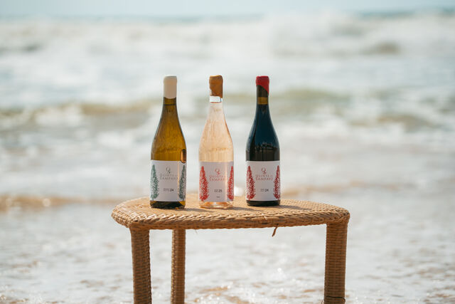 Quinta do Sampayo Rosé 2025