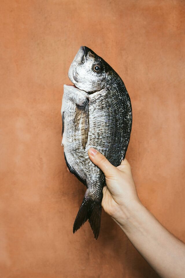  A qualidade dos produtos refete-se nos fornecedores destacados como por exemplo: os peixes de Dona Octávia