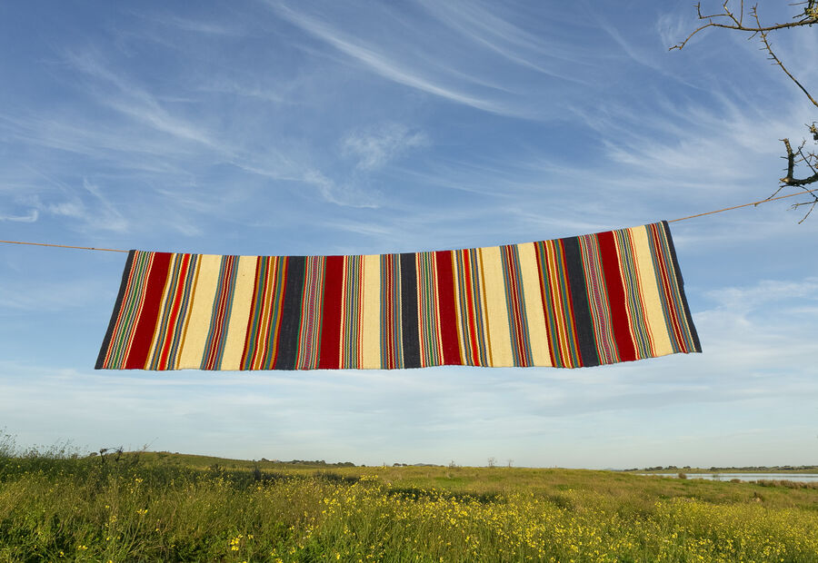 Visita à Fabricaal. O savoir-faire, as lãs de ovelhas merino e o Alentejo
